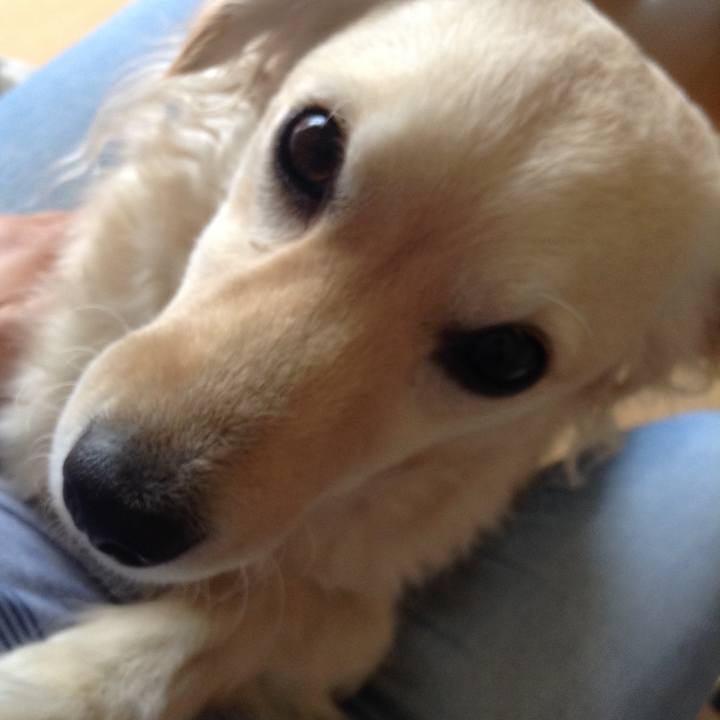 0db77b3c 892f 4d25 9b36 8a58b609124a