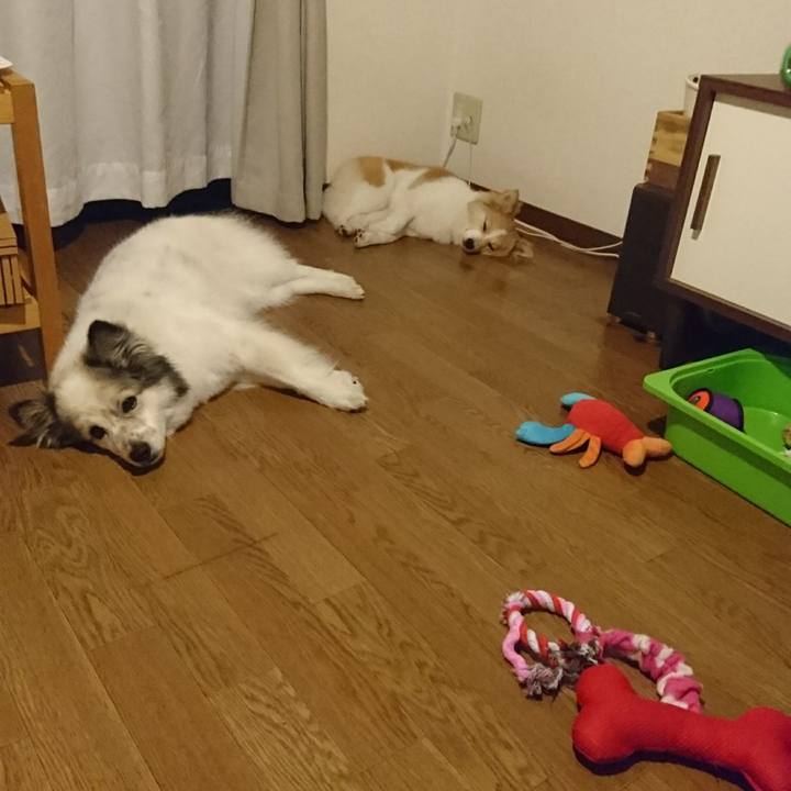 0db785ae ac06 4831 81a9 20077cb1bb10