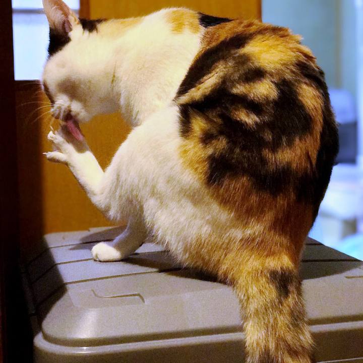 0db7ba89 2666 40bd 8b94 7033ffdcee1c