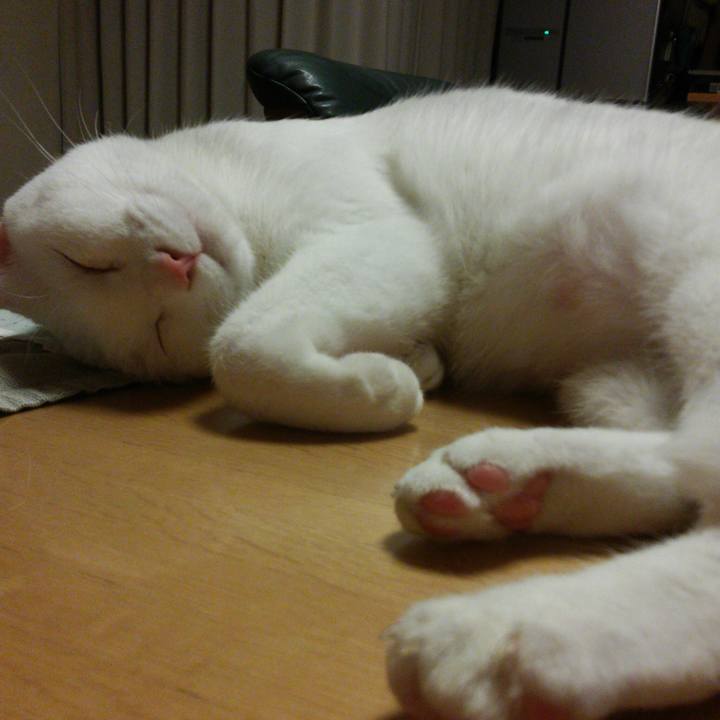 0db9acaa fdfb 45b6 9784 074cc3a83d75