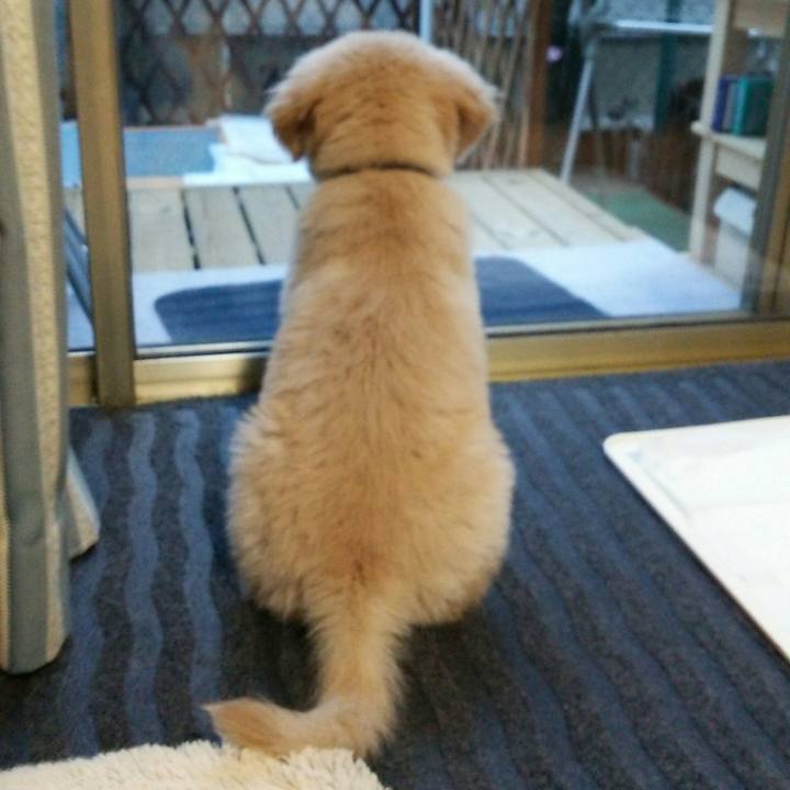 0dba0a29 26dd 49cd 8188 8e944edcdc16