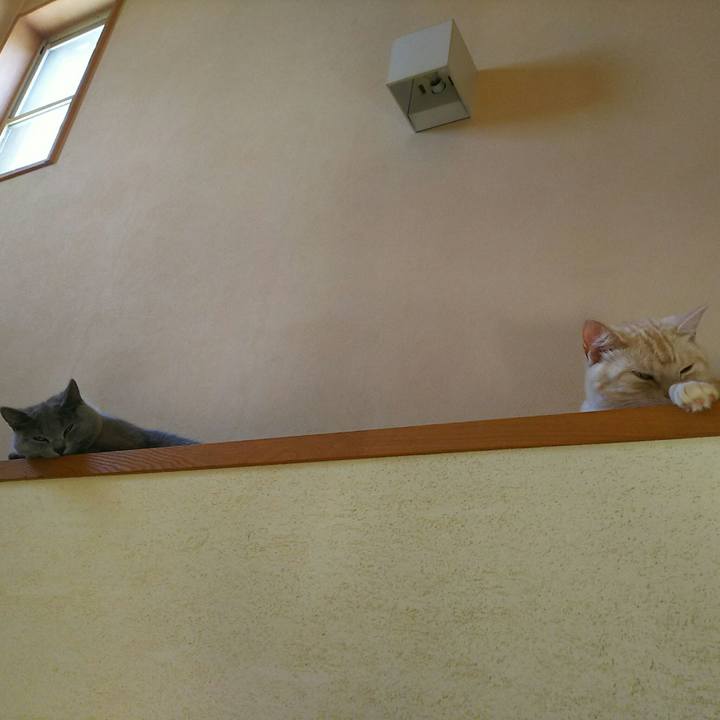 0dbac20c dd0b 4d19 8ce1 a799c817a155