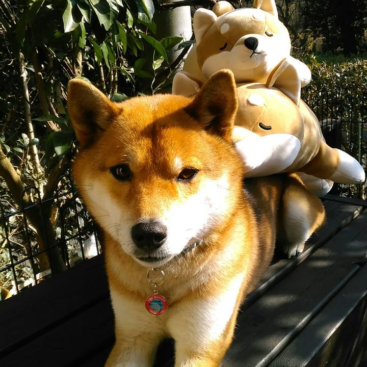 0dbafede 1e4f 4acc bb5b 77a93f554926