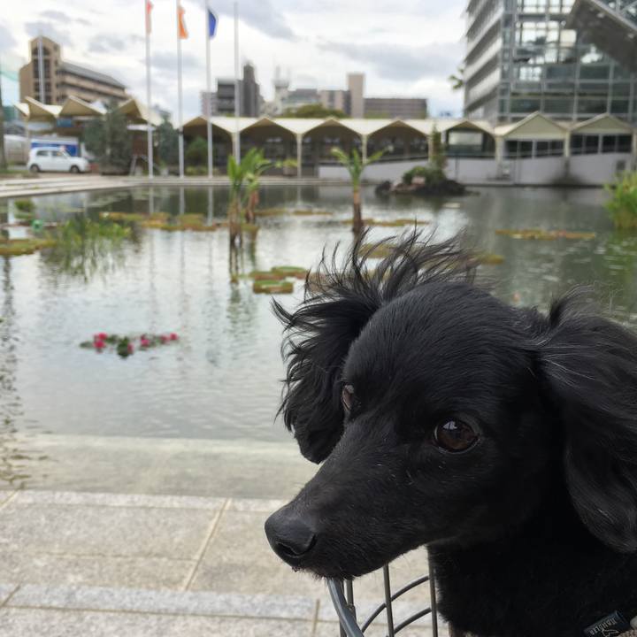 0dbb1862 1ab3 4425 a790 ab9229911c3c