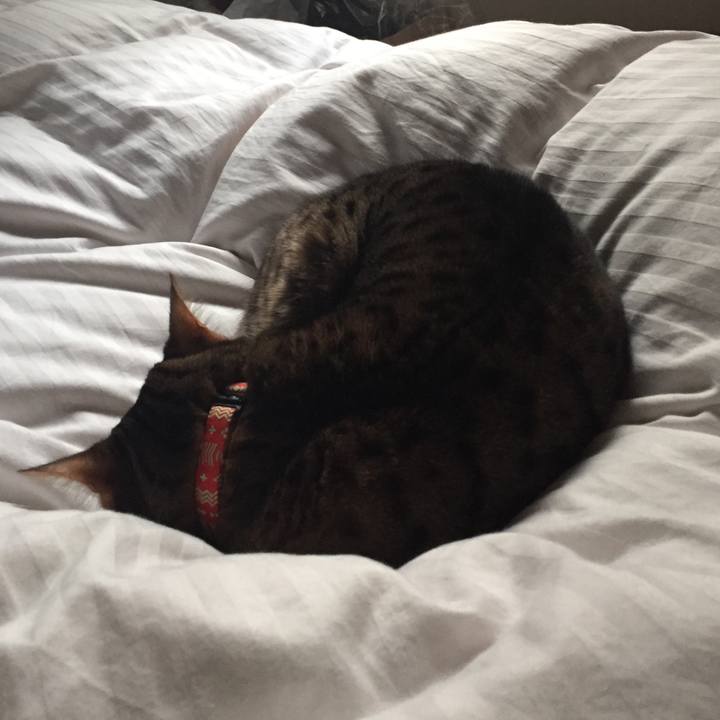 0dbc52b3 ecb6 4dc3 9735 eae10faf32cf