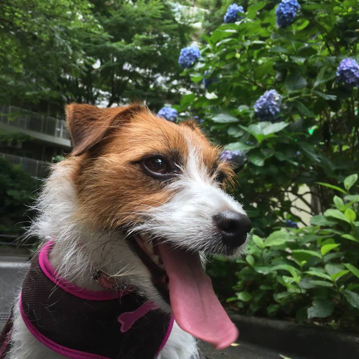 0dbec1cc 20e6 4888 a8c4 920a2e1531a8