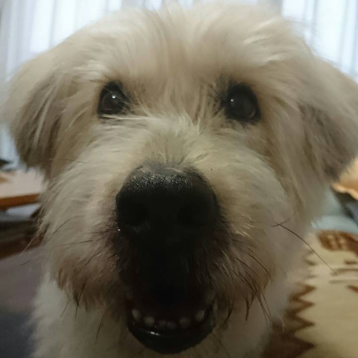 0dbf2c12 b3d7 4a23 9861 985887e7ca23