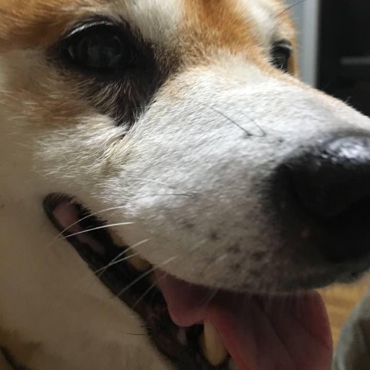 0dbf5b37 a483 4fa9 8595 4ccebe4648c1