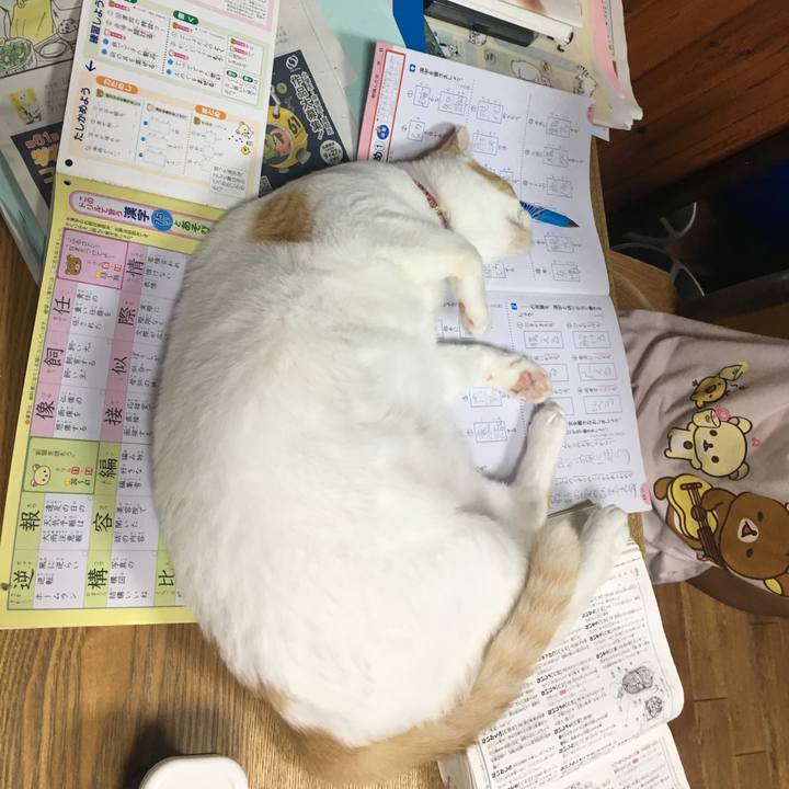 0dc0bbed b69d 4288 93b1 e57fa4962f1f