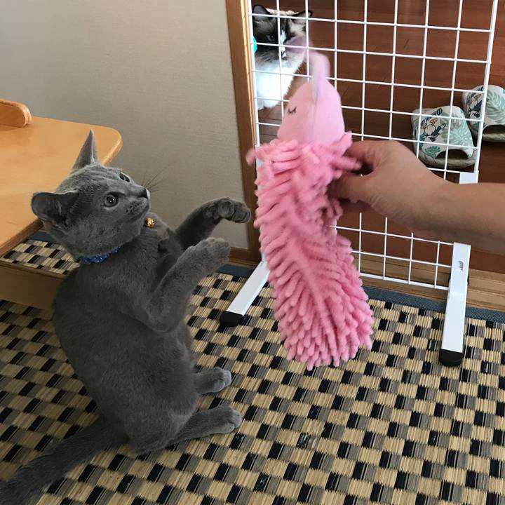 0dc11653 8aa1 4c0a 90d1 0c697fa6d2e8