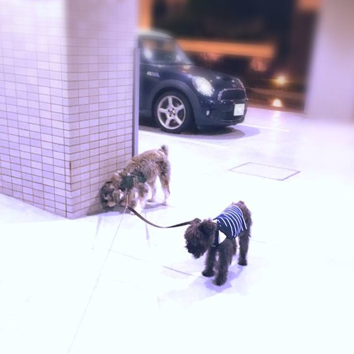 0dc142b0 b40e 4c53 a16e c23533f64e0a