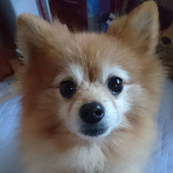 0dc18db1 f27d 4b59 ab7e c32f704957f9