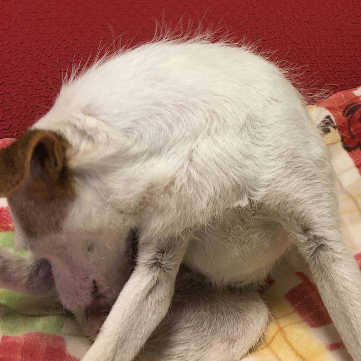 0dc1adbd 9c46 4caa 8b86 92195fc3ba1f