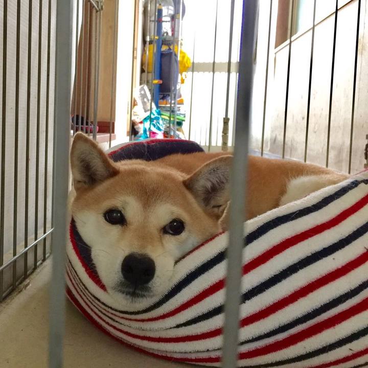 0dc24b7a cdbd 4a13 b95f 74b1aac37fac