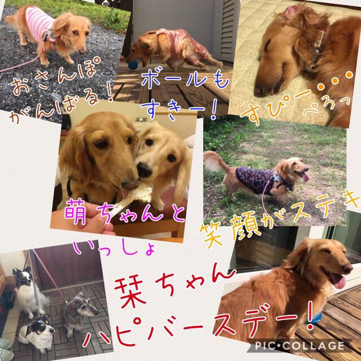 0dc37415 0674 44d0 b157 6b3aaf12b4fc