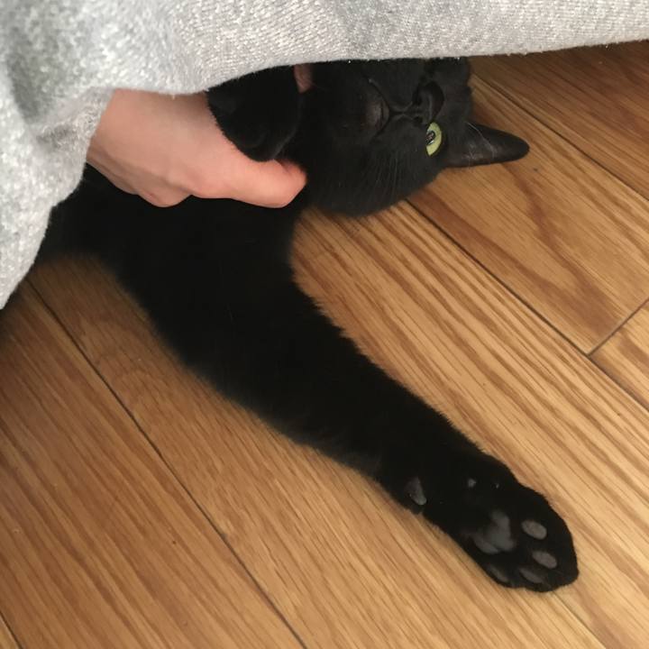 0dc385c6 f888 4e07 8b14 97d59ce20756