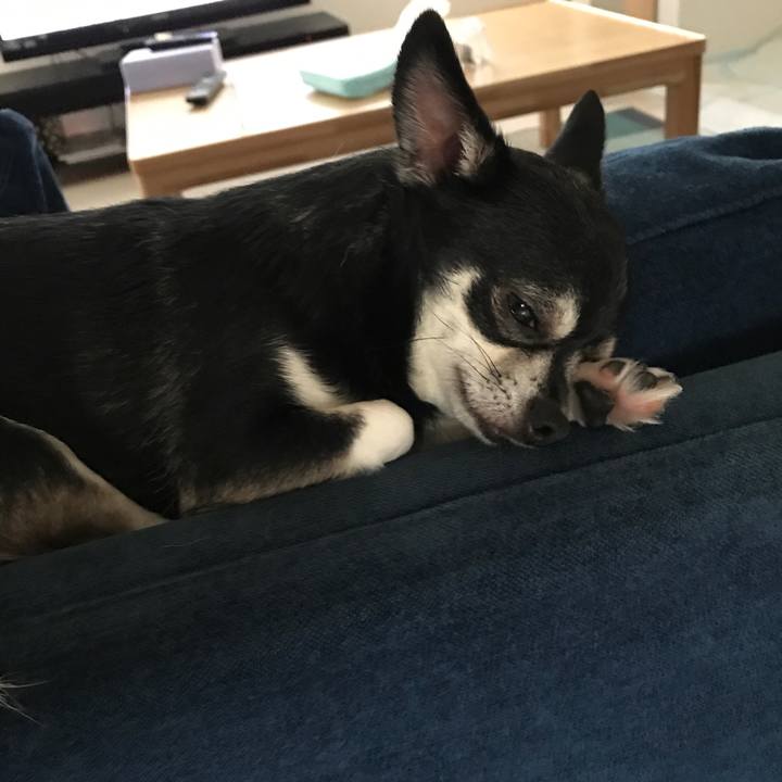 0dc3876c f6b9 4a9d b639 865aa12fbcca