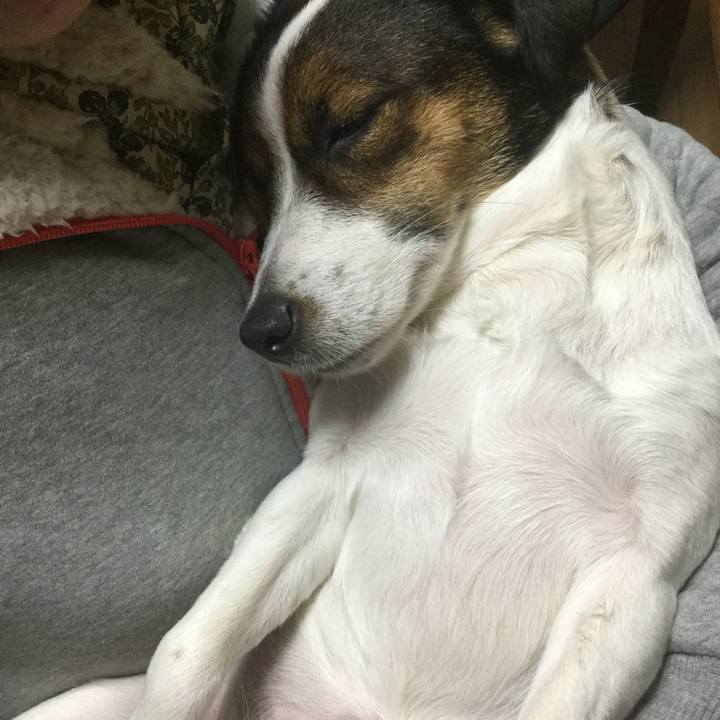 0dc3cabd d30a 4d18 bc86 e8fca7ccc001