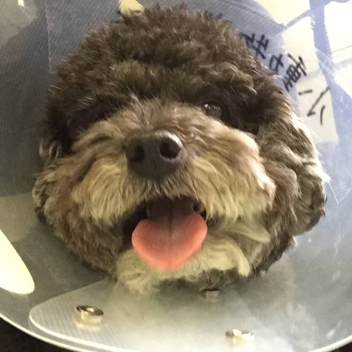 0dc3f36c e94d 4366 9523 0db410f15b1e