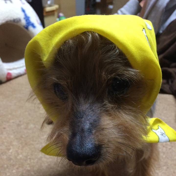 0dc5039e 6f2c 4675 84cb 4b4f2c875966