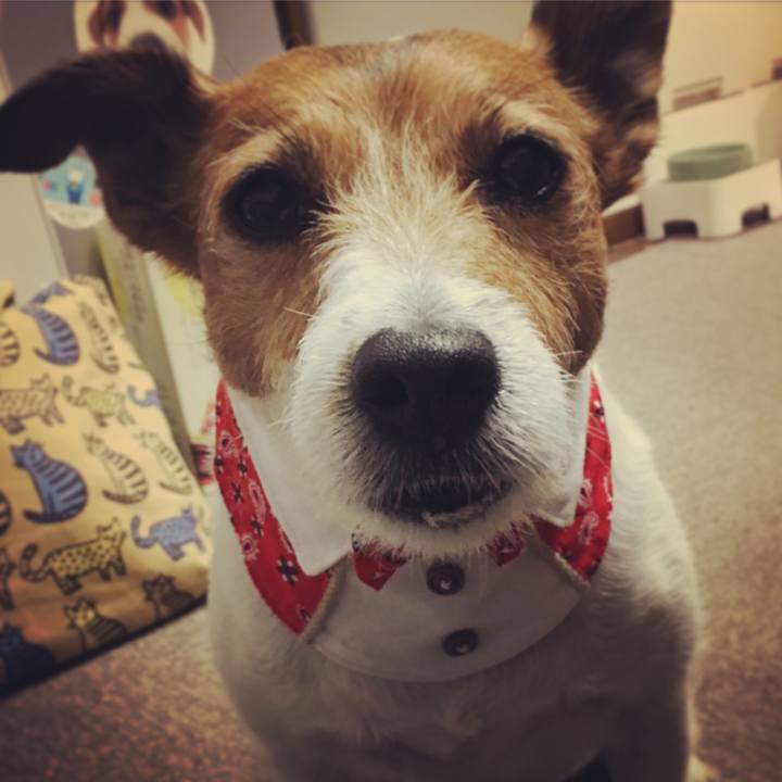 0dc533cf 3565 4334 9099 8036624d1b75