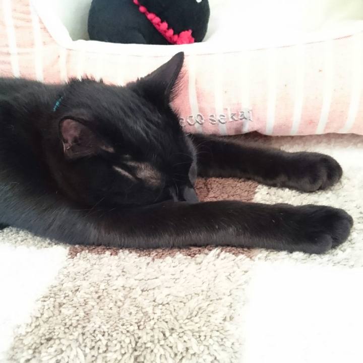 0dc5ae56 c5eb 4c67 8ad5 201c7e4a4b38