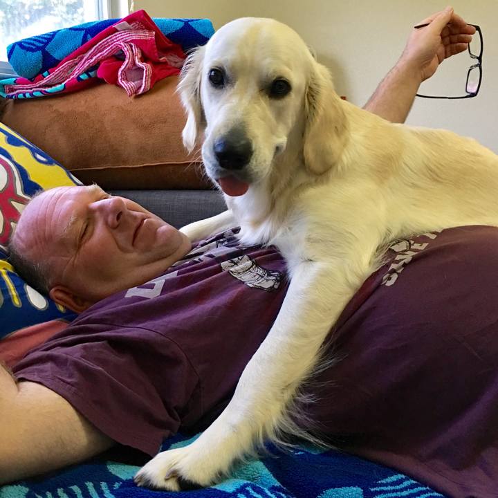 0dc5ae61 60f4 4368 a09c 80c5ce78adc8