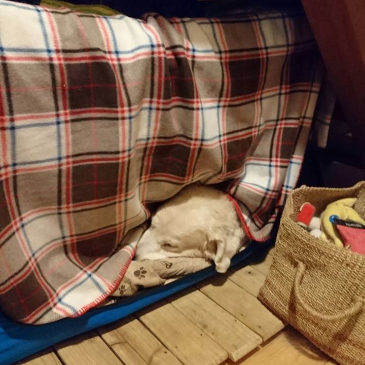 0dc5b6f1 3869 4bc1 8120 af1f324cb85d