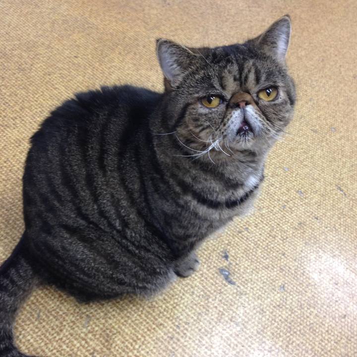 0dc5c611 ee20 4943 9099 7c7df734893b