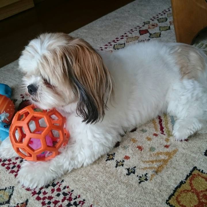 0dc71957 3945 439a b809 41478270c6ea