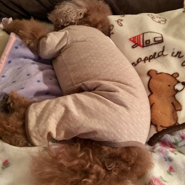 0dc76b0e 8c98 4590 a21d 531163af2107