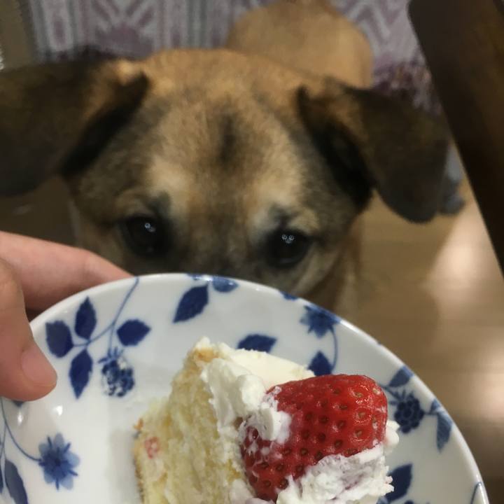 0dc76b3a 412c 4670 b2eb 62b680754167