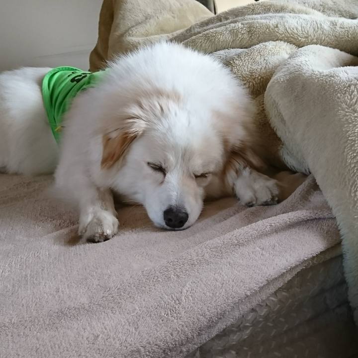 0dc7b8ef a112 4e07 a613 c3e785524d7c