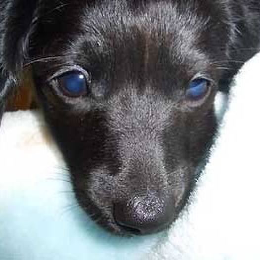 0dc7f314 5121 4fb8 8585 7ad3ea5e63c7