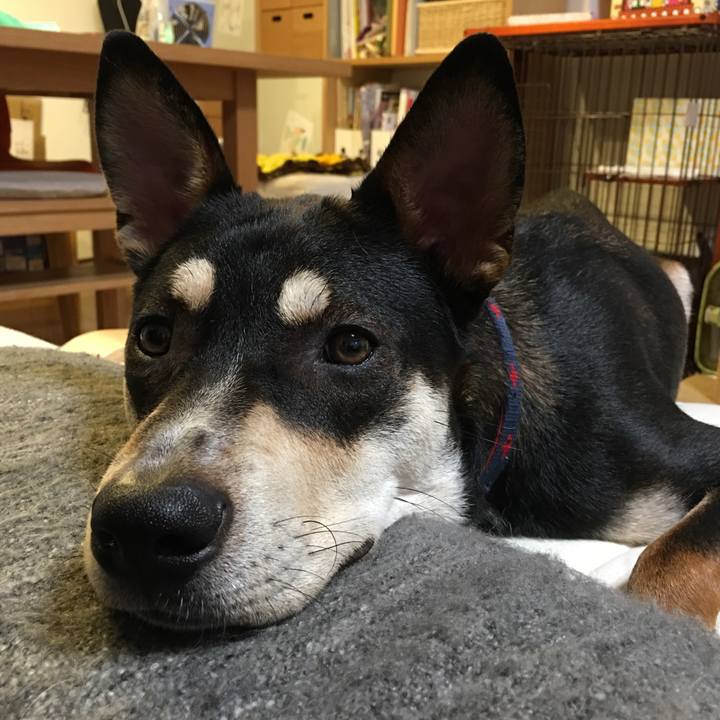 0dc82305 8047 414b 87b0 88b4cdb3d2eb