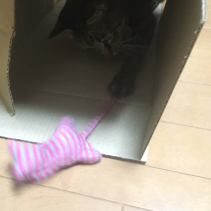 0dc85c94 cbda 4e8f b24b e9b6bfee7535