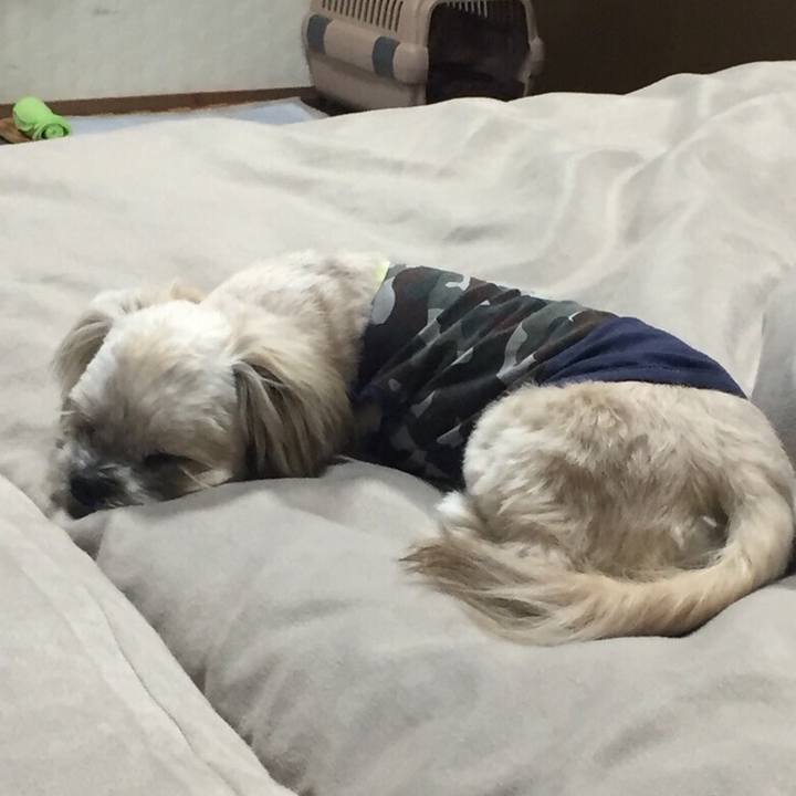 0dc8ce53 b0cc 40b9 8799 d205b3ad4510