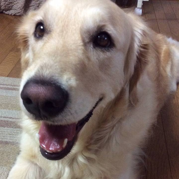 0dc9489a 9832 480a beee 11f1ea6855d3