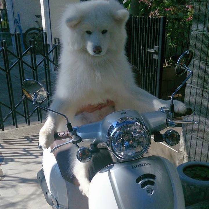 0dc98365 59e1 493f ba1b 95f16ed079f6