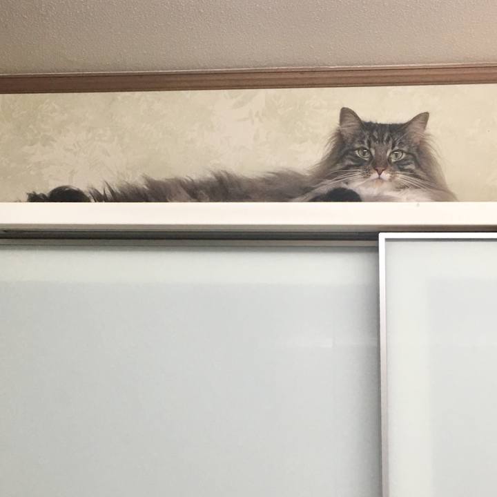 0dcac086 ac7b 4961 955e 44505b227c8e