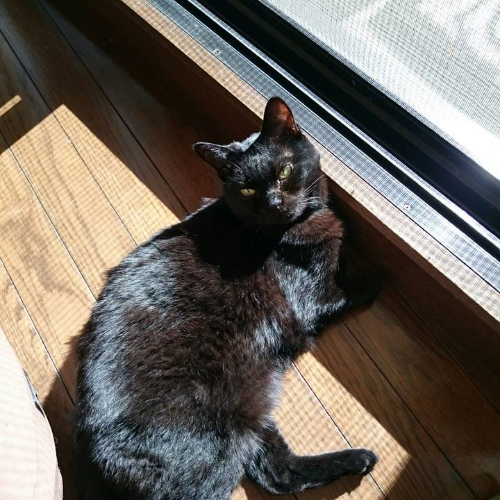 0dcac103 4627 4269 8680 8ad70826cdfd