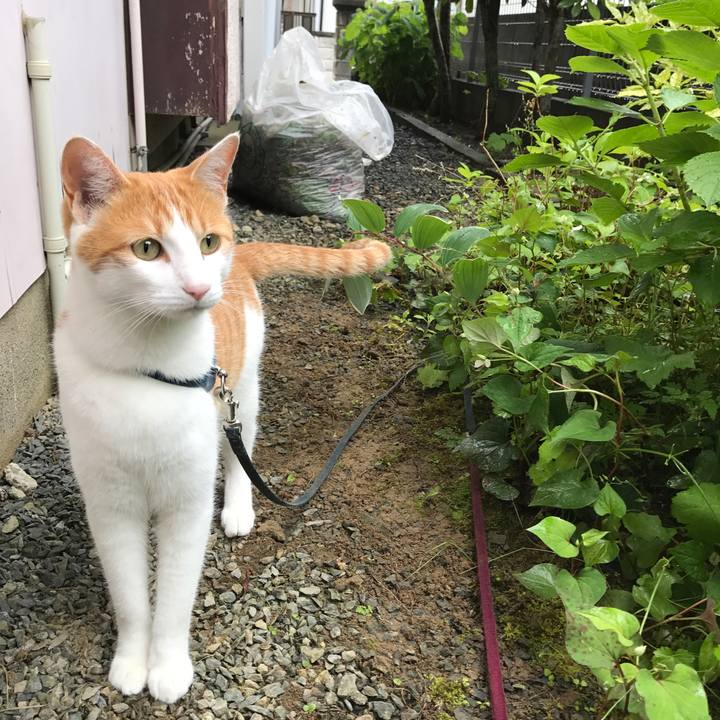 0dcbf5c6 9368 4026 810c 31af07c3d353