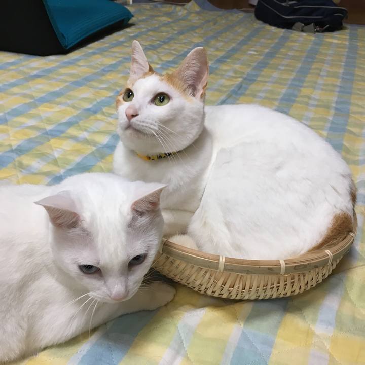 0dcbf6a9 b0fa 439a 9638 985579571d69