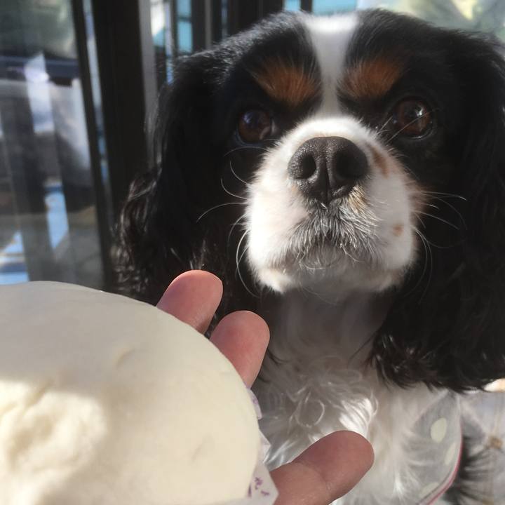 0dcc2b21 b019 43ef b9df fcbd59ea5e82