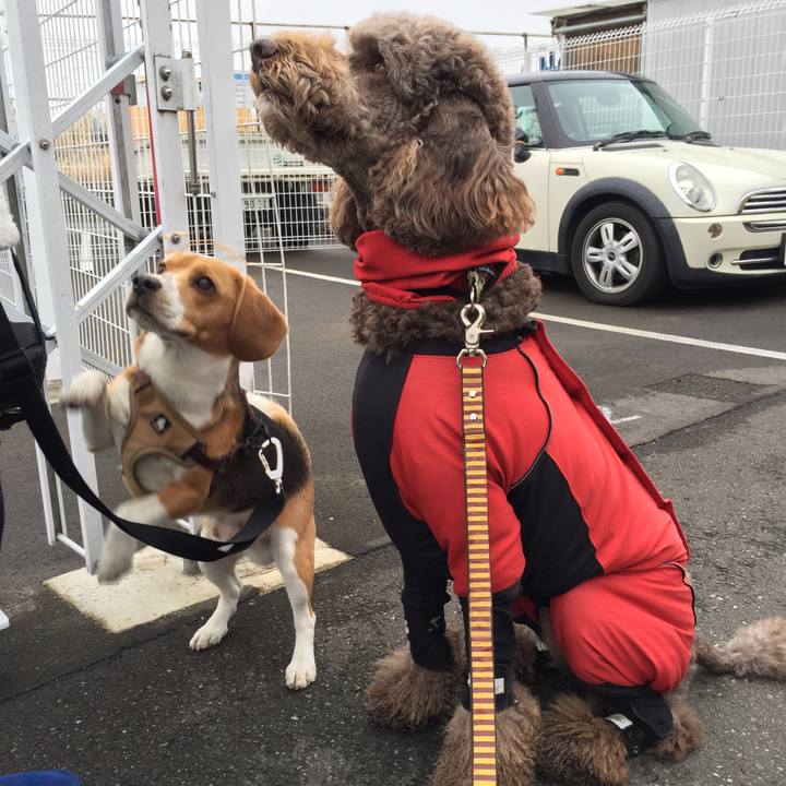 0dcc49d7 b0a7 4b2e b48d bd029fff536d