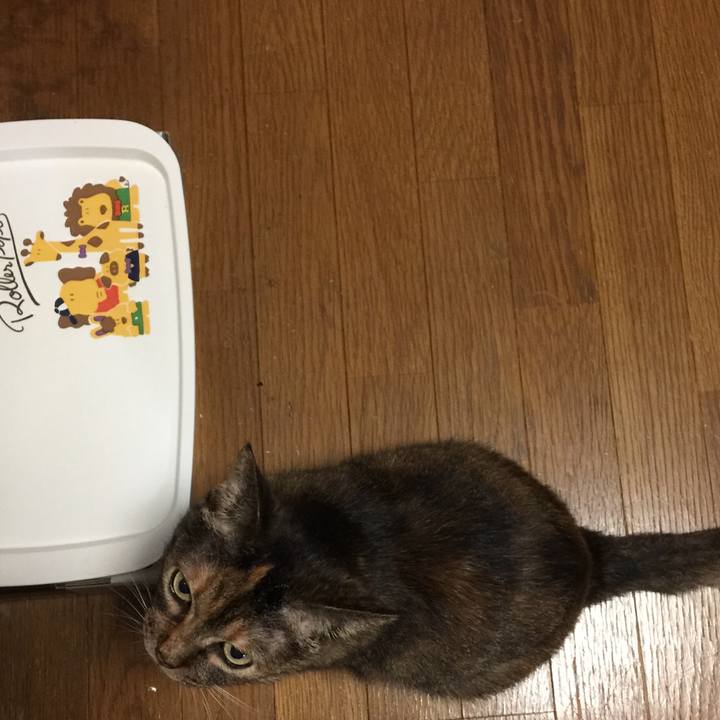 0dcc9ab7 6c4e 4fc8 a32f 27f4b4db8726