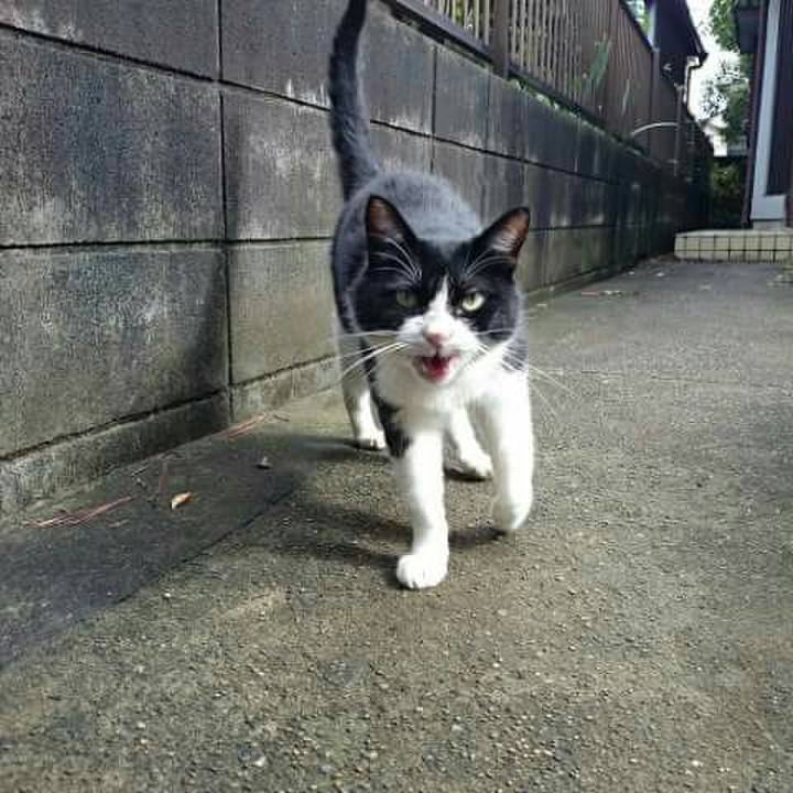 0dccb46c 3199 4213 876b b4daf9f6556b