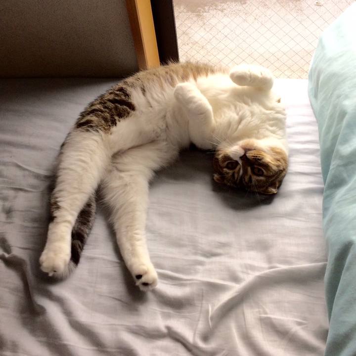 0dccbfb2 f503 4935 8627 4bac590b99c1