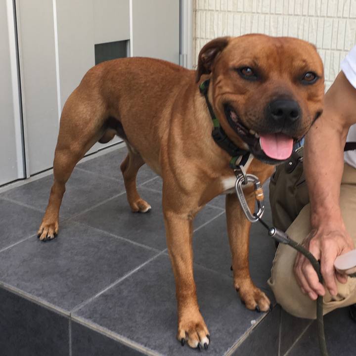 0dcd9bd9 d503 4d80 a710 75eab6b93613