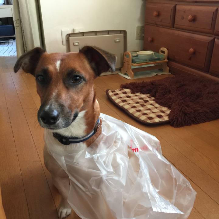 0dcdea41 9b74 47da ab8e 4b3467c84237